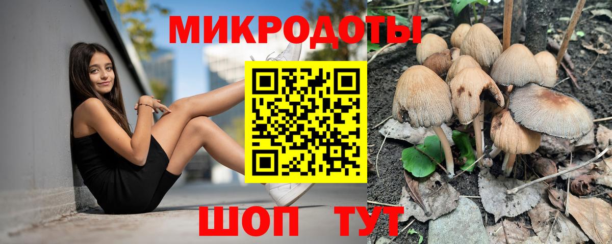 Галлюциногенные грибы прущие грибы Шарыпово