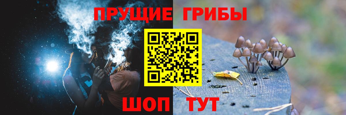 Шарыпово  Псилоцибиновые грибы Cubensis  как найти   Вход с VPN 